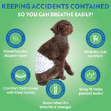 Pet Care Disposable Male Dog Diapers | Absorbent Male Wraps with Leak Proof Fit | Extra-Small/Small, 32 Count