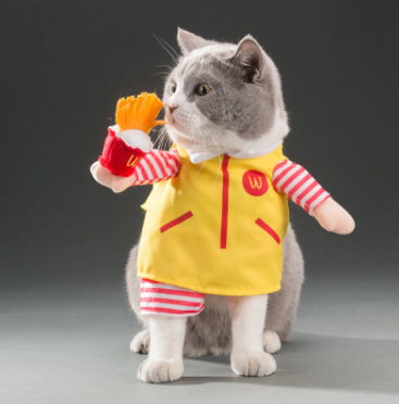 Cute Cat Costumes