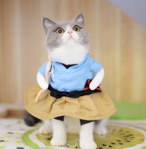 Cute Cat Costumes