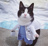 Cute Cat Costumes
