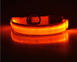 LED Light-Up Dog Safety Collar