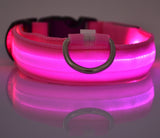 LED Light-Up Dog Safety Collar