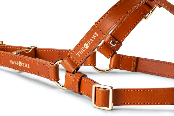 Vivienne (Italian Leather) Step-In Dog Harness – by The Paw Co.