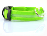 LED Light-Up Dog Safety Collar