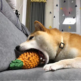 Fruit Dog Teether