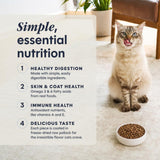 Limited Ingredient Diet Dry Cat Food, Real Salmon, 4.5 Lb. Bag | Single Animal Protein and Vegetable Recipe, Raw-Coated Kibble, Wild-Caught Salmon, Gentle on Sensitive Stomachs