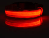 LED Light-Up Dog Safety Collar