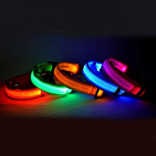 LED Light-Up Dog Safety Collar