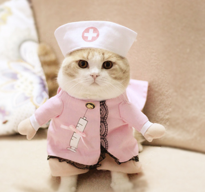 Cute Cat Costumes