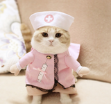 Cute Cat Costumes