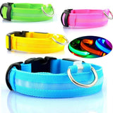 LED Light-Up Dog Safety Collar