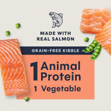 Limited Ingredient Diet Dry Cat Food, Real Salmon, 4.5 Lb. Bag | Single Animal Protein and Vegetable Recipe, Raw-Coated Kibble, Wild-Caught Salmon, Gentle on Sensitive Stomachs