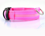 LED Light-Up Dog Safety Collar