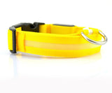 LED Light-Up Dog Safety Collar
