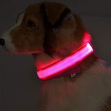 LED Light-Up Dog Safety Collar
