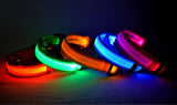 LED Light-Up Dog Safety Collar