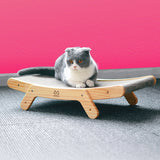 Cat Scratcher and Bed