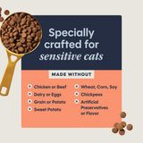 Limited Ingredient Diet Dry Cat Food, Real Salmon, 4.5 Lb. Bag | Single Animal Protein and Vegetable Recipe, Raw-Coated Kibble, Wild-Caught Salmon, Gentle on Sensitive Stomachs