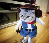 Cute Cat Costumes