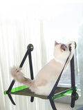 Hanging Cat Hammock
