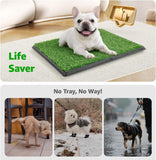 Puppy Dog Litter Training Tray with 2 Packs Dog Grass Pee Pads for Replacement, Pet Pee Pad Holder Portable Indoor Dog Toilet (40.6X50.7Cm)