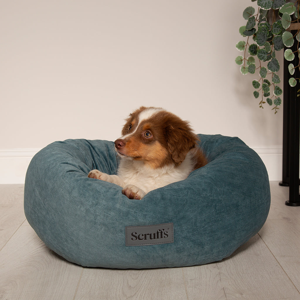 Oslo Ring Dog Bed (in Blush Pink, Desert Sand, Lake Teal or Stone Grey) by Scruffs