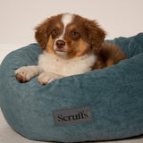 Oslo Ring Dog Bed (in Blush Pink, Desert Sand, Lake Teal or Stone Grey) by Scruffs