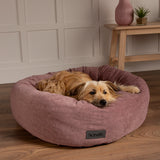 Oslo Ring Dog Bed (in Blush Pink, Desert Sand, Lake Teal or Stone Grey) by Scruffs