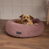 Oslo Ring Dog Bed (in Blush Pink, Desert Sand, Lake Teal or Stone Grey) by Scruffs