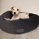 Oslo Ring Dog Bed (in Blush Pink, Desert Sand, Lake Teal or Stone Grey) by Scruffs