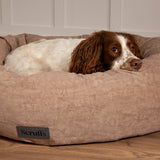 Oslo Ring Dog Bed (in Blush Pink, Desert Sand, Lake Teal or Stone Grey) by Scruffs