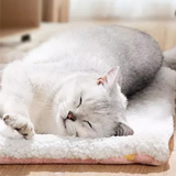 Pet Circulating Water Dispenser