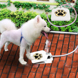 Step Up Dog Water Fountain