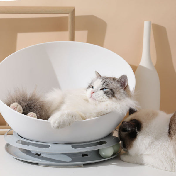 Round Turntable Cat Toy