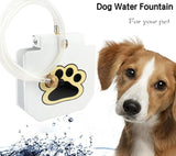 Step Up Dog Water Fountain