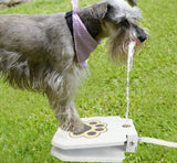 Step Up Dog Water Fountain