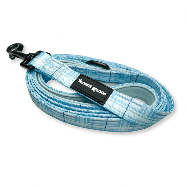 Oxford 