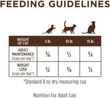 Limited Ingredient Diet Dry Cat Food, Real Salmon, 4.5 Lb. Bag | Single Animal Protein and Vegetable Recipe, Raw-Coated Kibble, Wild-Caught Salmon, Gentle on Sensitive Stomachs