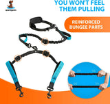 Hands Free Double Dog Leash – Dual Leash for Medium and Large Breeds – Lead for 2 Dogs with Padded Handles, Reflective Stitches, No Pull, Tangle Free