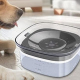 Slow Drinking Dog Water Bowl