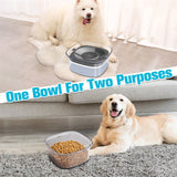 Slow Drinking Dog Water Bowl