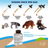 Natural Intestinal Defense for Dogs & Cats – Herbal Cleanse with Black Walnut, Wormwood & Probiotic – Promotes Healthy Gut & Flora Balance – Advanced Broad Spectrum Formula