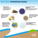 Natural Intestinal Defense for Dogs & Cats – Herbal Cleanse with Black Walnut, Wormwood & Probiotic – Promotes Healthy Gut & Flora Balance – Advanced Broad Spectrum Formula