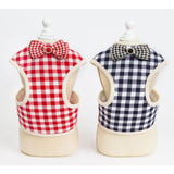 Blue Bow Dog Harness (With Leash)