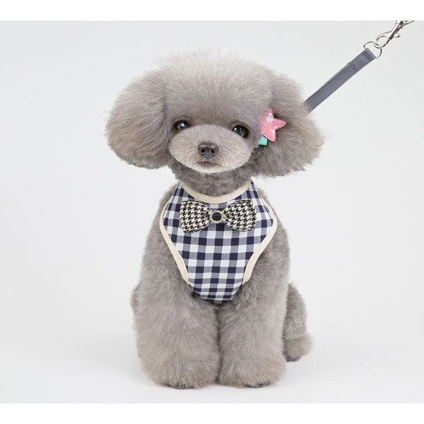 Blue Bow Dog Harness (With Leash)