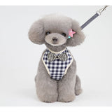 Blue Bow Dog Harness (With Leash)