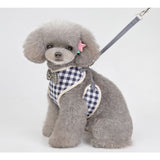 Blue Bow Dog Harness (With Leash)